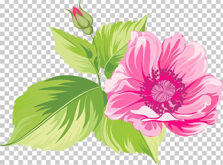 Floral Design Flower Blume PNG, Clipart, Annual Plant, Blume, Cut Flowers, Desktop Wallpaper, Drawing Free PNG Download