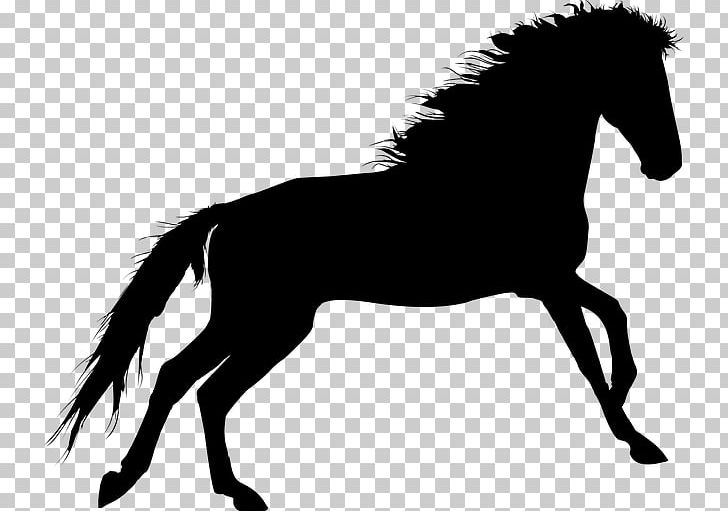 Horse Computer Icons PNG, Clipart, Animals, Black And White, Bridle, Colt, Computer Icons Free PNG Download