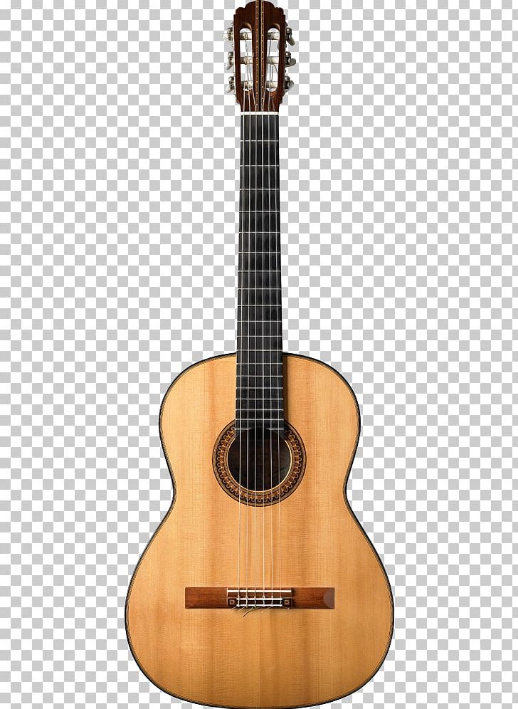 Acoustic Guitar Cutaway Acoustic-electric Guitar Classical Guitar PNG, Clipart, Acoustic Electric Guitar, Classical Guitar, Cuatro, Cutaway, Guitar Accessory Free PNG Download