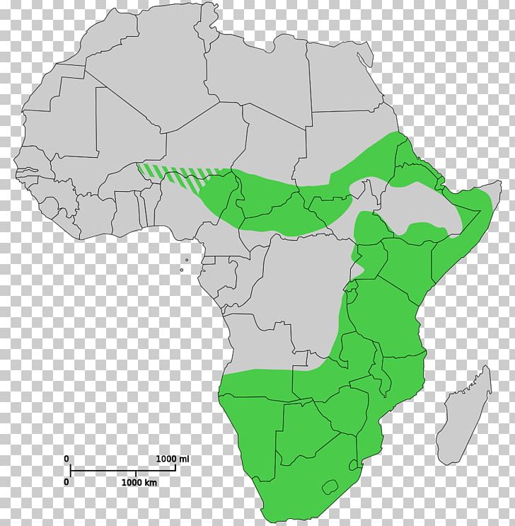 Chad Sub-Saharan Africa Blank Map PNG, Clipart, Africa, Area, Blank Map, Chad, Ecoregion Free PNG Download