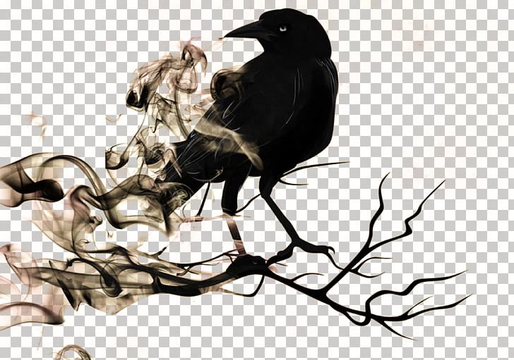 The Raven Common Raven Illustration PNG, Clipart, Animal, Animals, Art, Black, Black Crow Free PNG Download