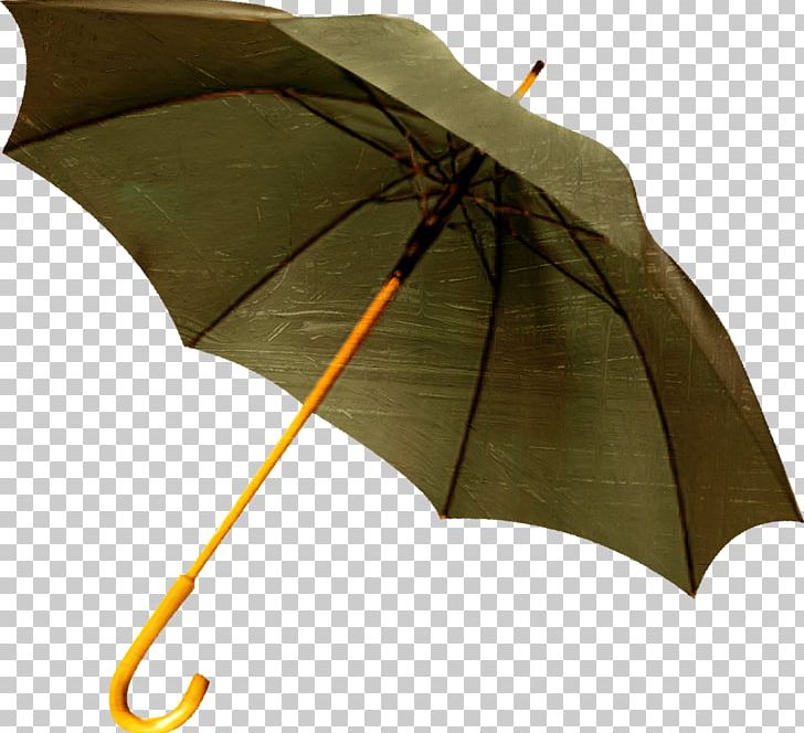 The Umbrellas Designer Clothing PNG, Clipart, Accessoire, Clothing, Clothing Accessories, Designer, Designer Clothing Free PNG Download