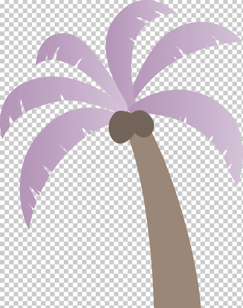Palm Trees PNG, Clipart, Beach, Biology, Cartoon Tree, Leaf, Meter Free PNG Download