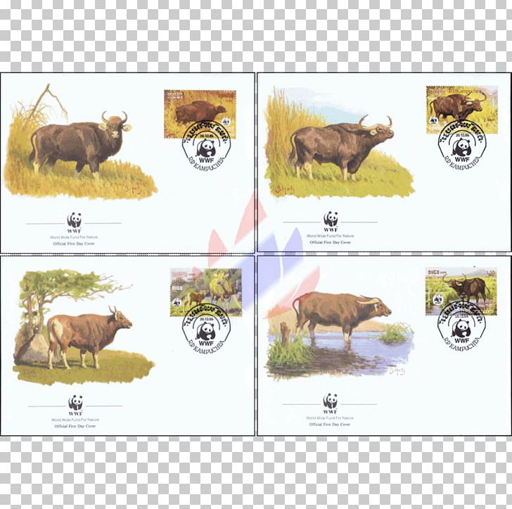 Cattle Nature Reserve Mail Wildlife PNG, Clipart, Cambodia, Cattle, Cattle Like Mammal, Fauna, Livestock Free PNG Download