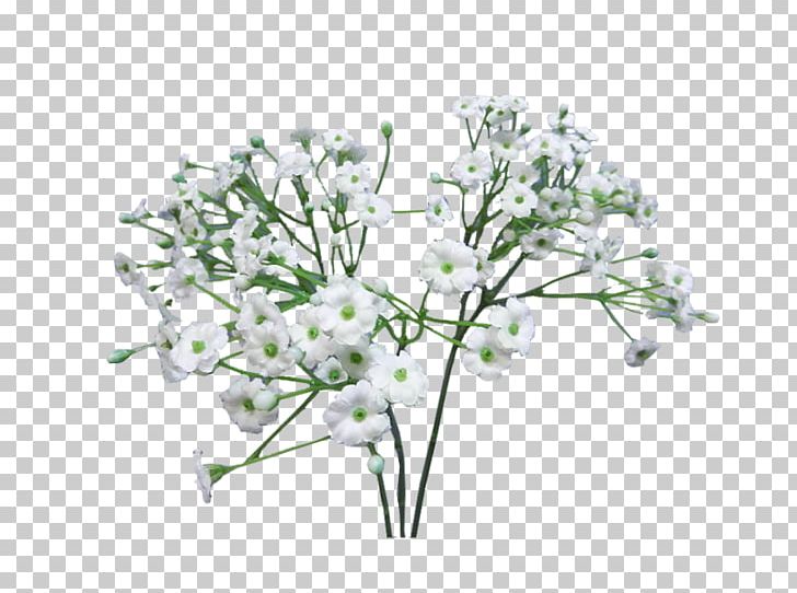 Flower Bouquet Baby's-breath Infant Artificial Flower PNG, Clipart, Artificial Flower, Babysbreath, Blossom, Branch, Breath Spray Free PNG Download