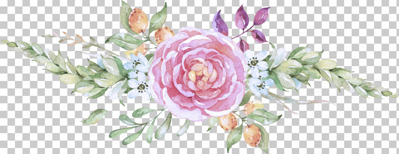 Garden Roses PNG, Clipart, Chinese Peony, Cut Flowers, Flower, Garden Roses, Peony Free PNG Download