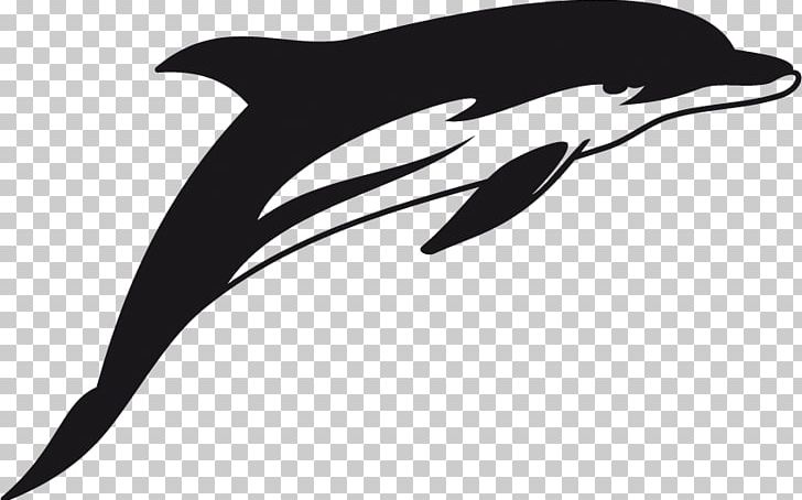 Short-beaked Common Dolphin Tattoo Stencil PNG, Clipart, Animals, Art, Beak, Bird, Dolphin Free PNG Download