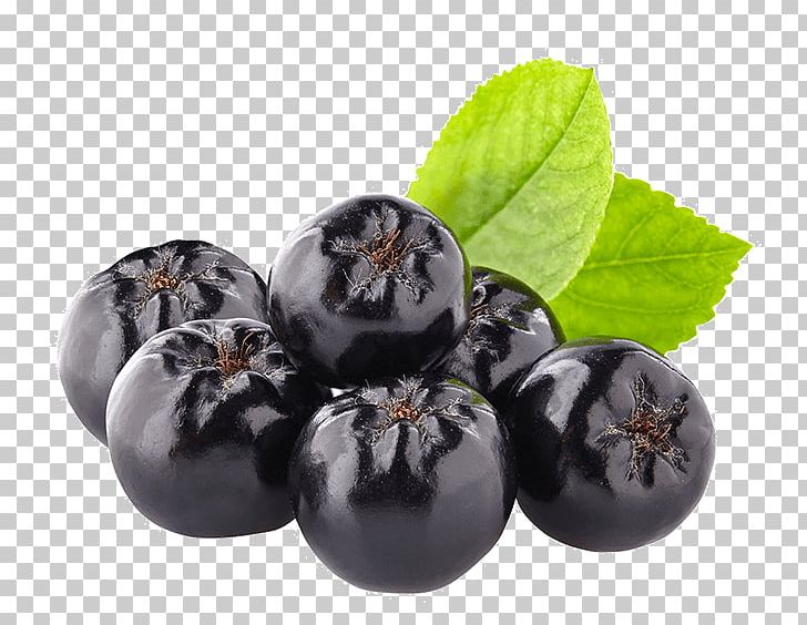 Blueberry Chokeberry Bilberry Stock Photography PNG, Clipart, Banco De Imagens, Berry, Bilberry, Blueberry, Chokeberry Free PNG Download