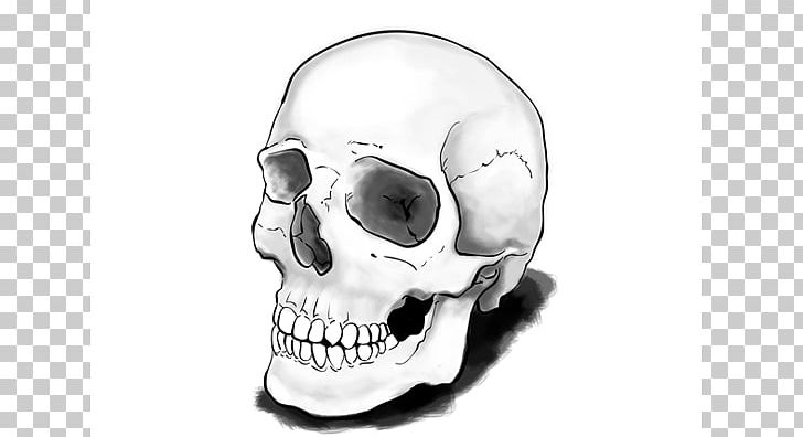 Drawing Skull Calavera Tutorial Art PNG, Clipart, Art, Black And White, Bone, Calavera, Doodle Free PNG Download