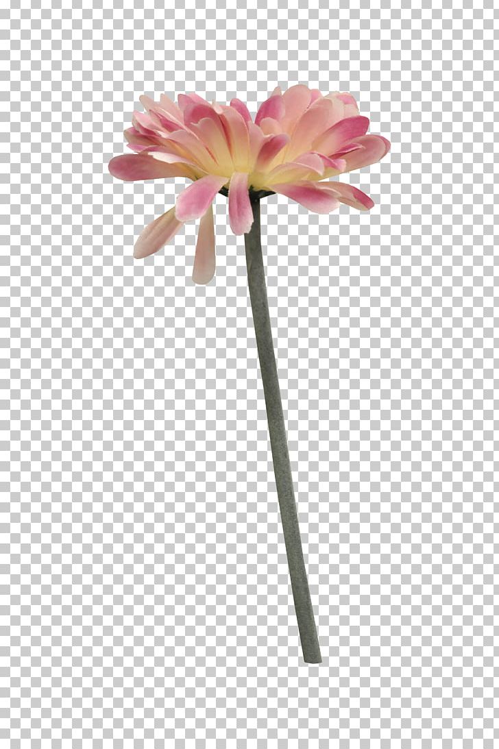 Flower Bouquet PNG, Clipart, Artificial Flower, Bouquet Of Flowers, Cut Flowers, Daisy Family, Encapsulated Postscript Free PNG Download