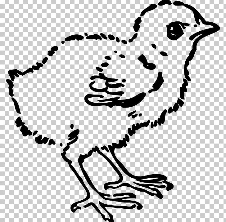 Chicken PNG, Clipart, Animals, Art, Artwork, Beak, Bird Free PNG Download