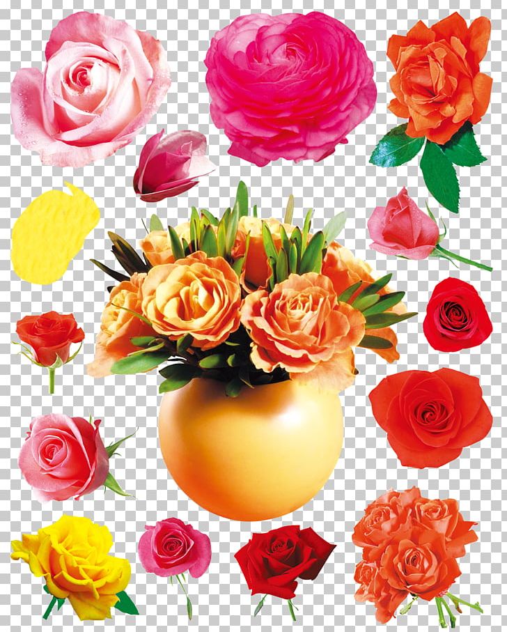 Flower Beach Rose Rosa Chinensis PNG, Clipart, Artificial Flower, Chrysanthemum Vector, Color, Encapsulated Postscript, Flower Arranging Free PNG Download