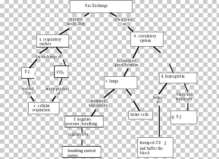 Document Line Music PNG, Clipart, Angle, Area, Black And White, Diagram, Document Free PNG Download