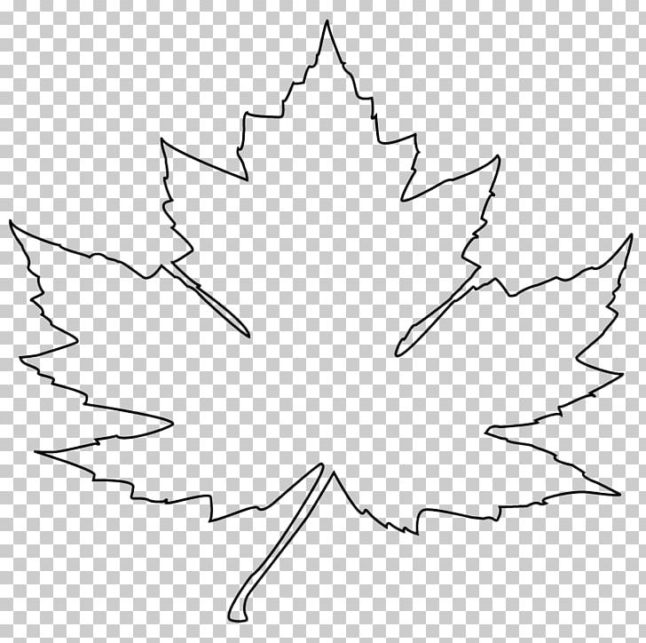 Maple Leaf Drawing Flag Of Canada PNG, Clipart, Acer Spicatum, Angle, Black And White, Branch, Clip Art Free PNG Download