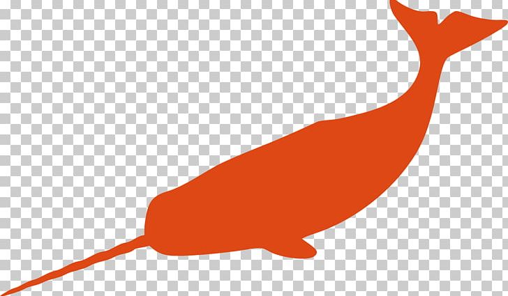 Narwhal Silhouette Whale PNG, Clipart, Animals, Beak, Beluga Whale, Bird, Carnivoran Free PNG Download