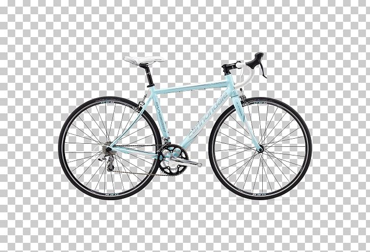 Giant's Giant Bicycles Cycling Giant Store Tignieu PNG, Clipart,  Free PNG Download