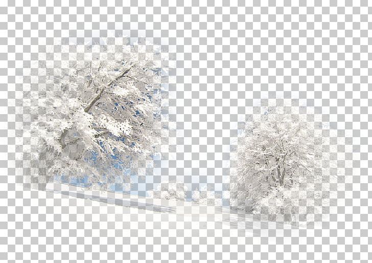 Landscape Winter Paysage D'hiver Desktop PNG, Clipart, 2017, Avatar, Blizzard, Blog, Character Free PNG Download