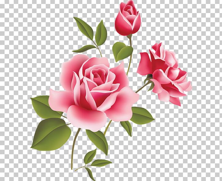 Rose Pink Free Content PNG, Clipart, Artificial Flower, Cut Flowers, Floral Design, Floristry, Flower Free PNG Download