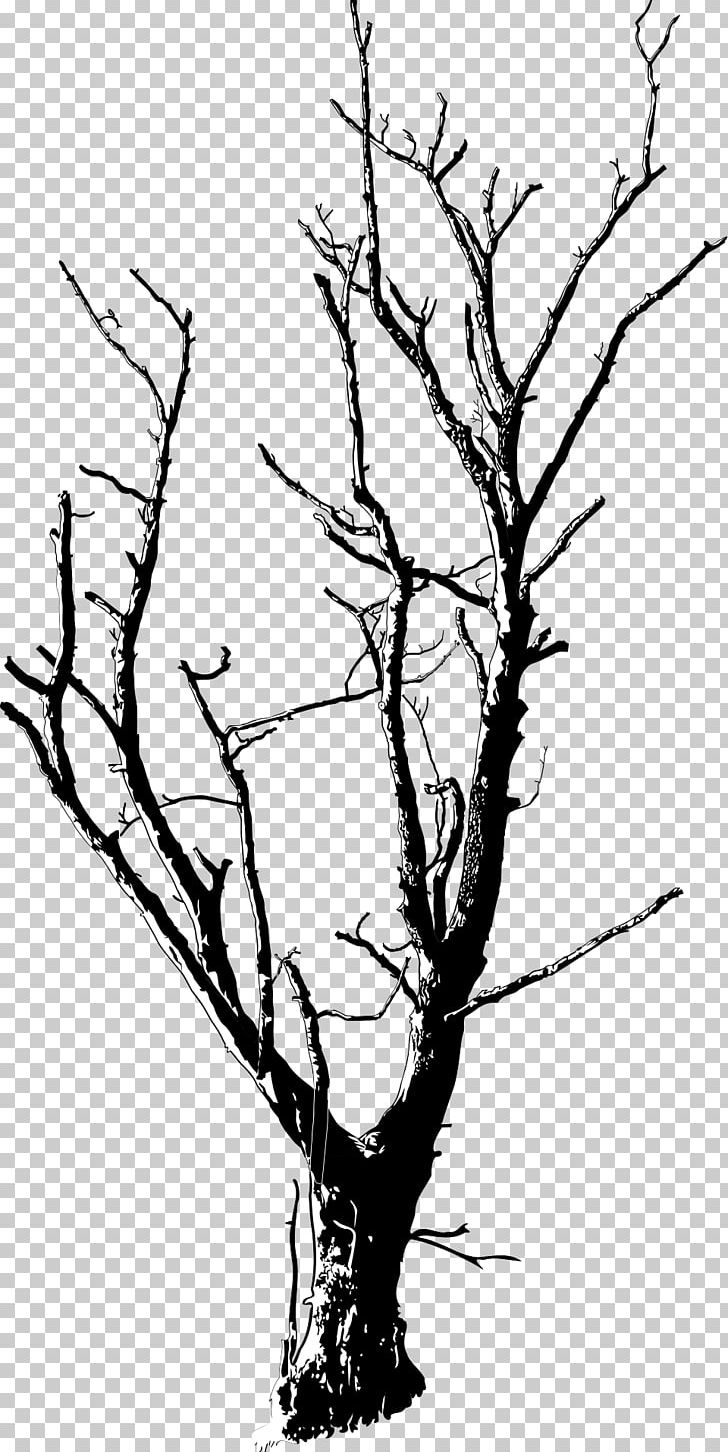 Tree Branch PNG, Clipart, Artwork, Black And White, Branch, Clip Art, Death Free PNG Download