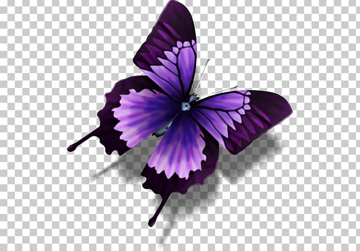 Butterfly Purple Icon PNG, Clipart, Animals, Apple Icon Image Format, Arthropod, Brush Footed Butterfly, Butterfly Free PNG Download