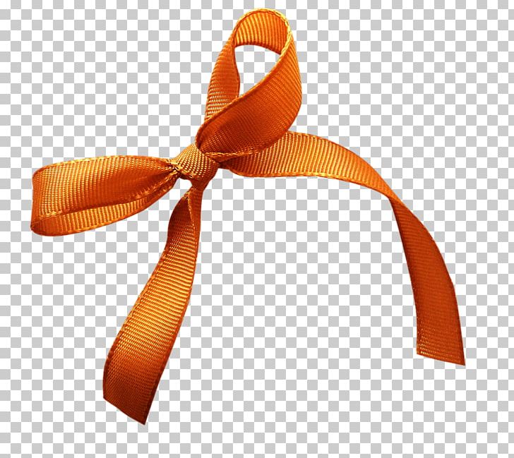 Ribbon Polyvore PNG, Clipart, Company, Fashion Accessory, Objects, Orange, Orange Sa Free PNG Download