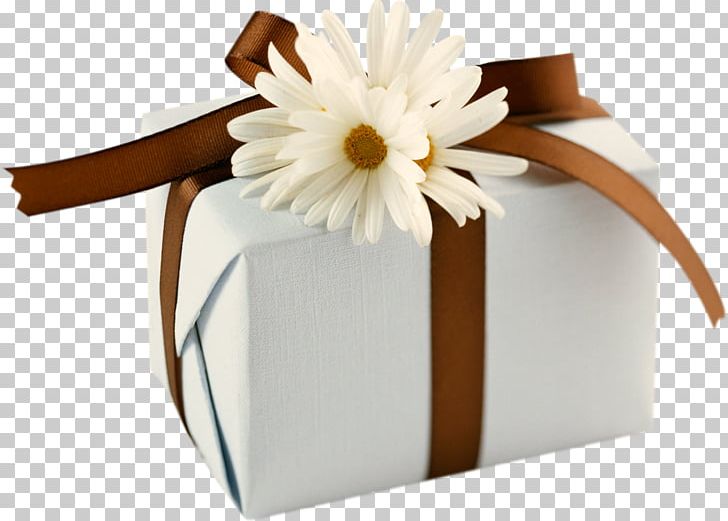Gift Wrapping Box Desktop PNG, Clipart, Birthday, Box, Camomile, Christmas, Christmas Gift Free PNG Download