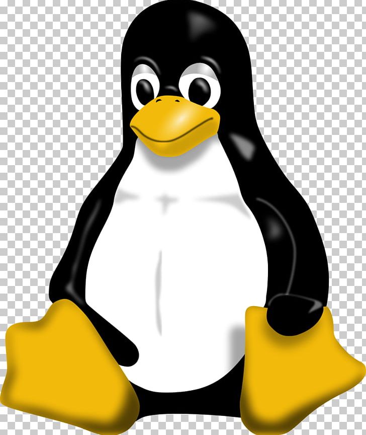 Tux Racer Penguin Linux PNG, Clipart, Animals, Beak, Bird, Flightless Bird, Free Software Free PNG Download