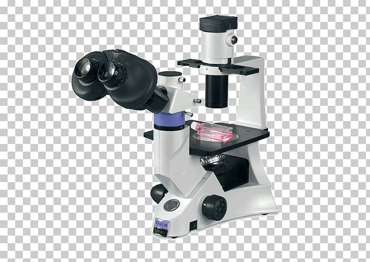 Inverted Microscope Optical Microscope Fluorescence Microscope Digital Microscope PNG, Clipart, Angle, Atomic Force Microscopy, Biology, Cell Culture, Digital Microscope Free PNG Download