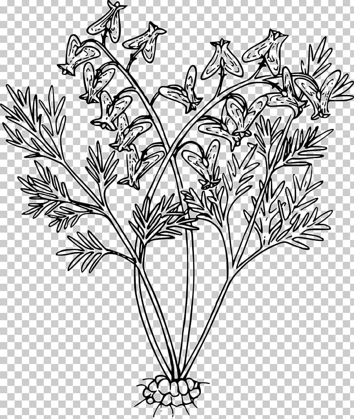 Line Art Black And White Drawing Flower PNG, Clipart, Adult, Art, Black And White, Branch, Color Free PNG Download