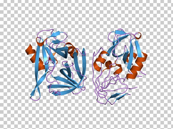 Animal PNG, Clipart, Animal, Area, Art, Cysteine Protease, Drawing Free PNG Download