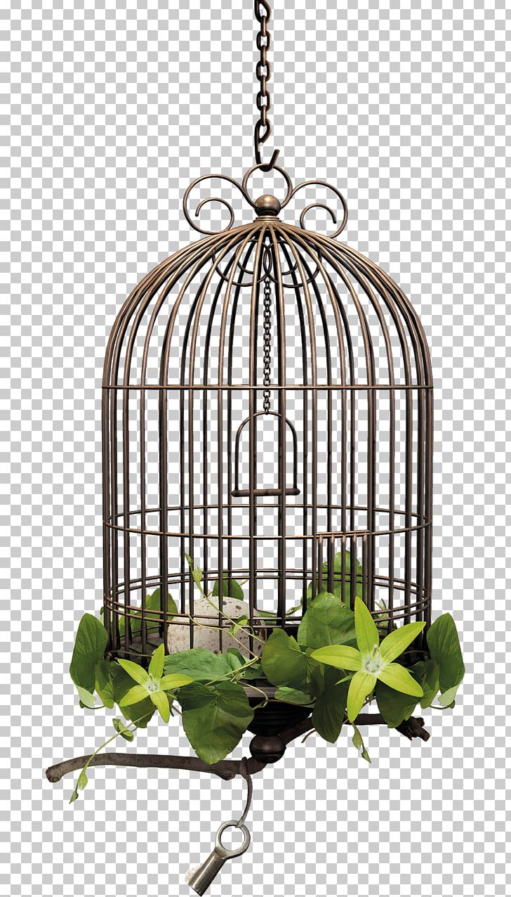 Cage Bird Ptycha PNG, Clipart, Animals, Bird, Birdcage, Cage, Cell Free PNG Download