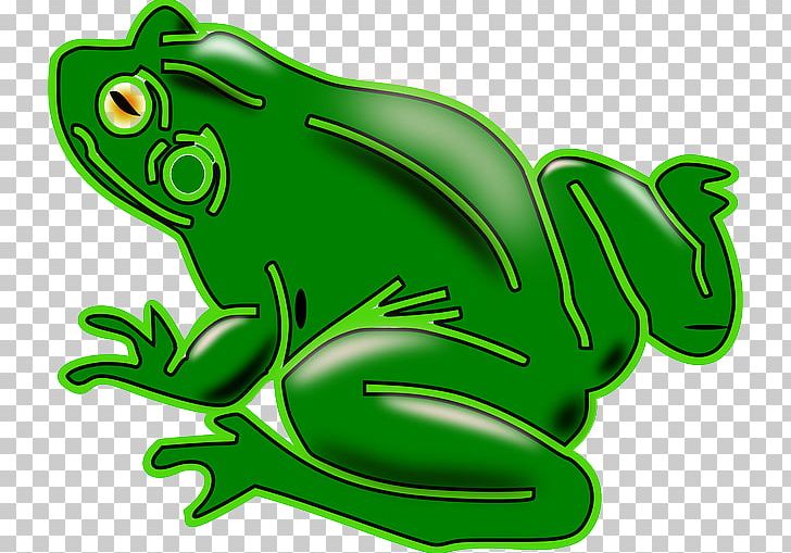 Common Frog PNG, Clipart, Amphibian, Animals, Common Frog, Computer Icons, Download Free PNG Download