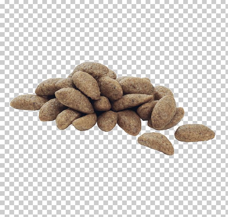 Dog Food Nestlé Purina PetCare Company Croquette Puppy PNG, Clipart, Animals, Breed, Chum Salmon, Commodity, Croquette Free PNG Download