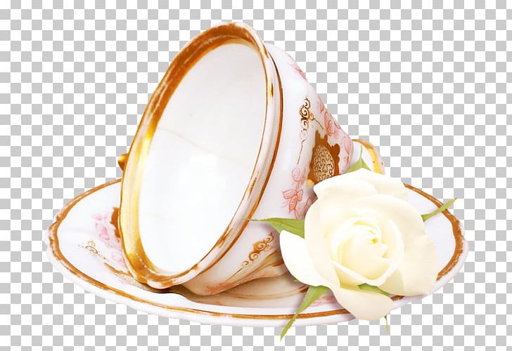 Teacup Dish Network PNG, Clipart, Dish, Dish Network, Food, Others, Teacup Free PNG Download