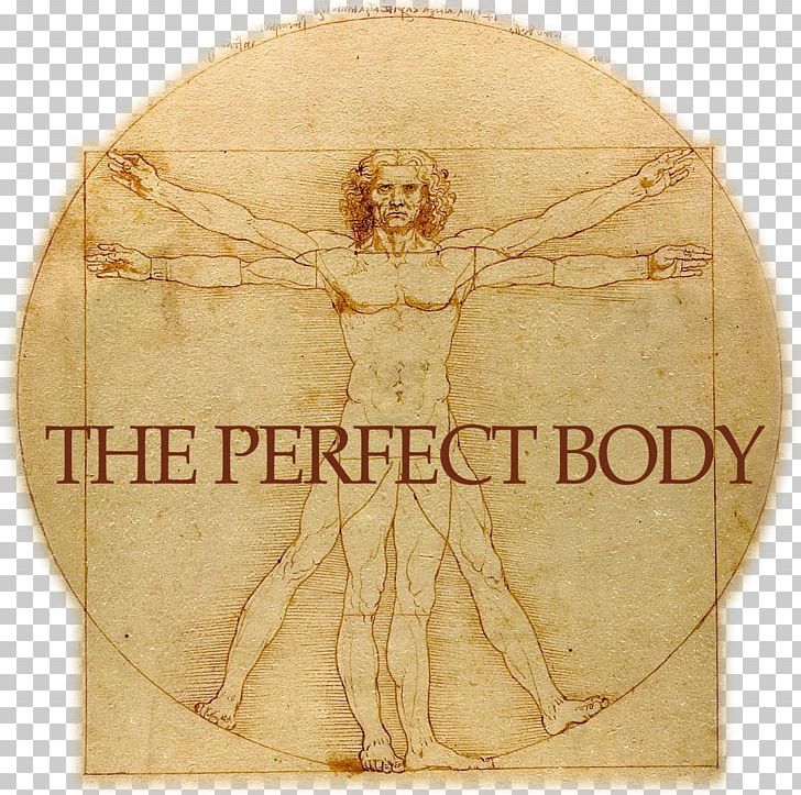 Vitruvian Man Gallerie Dell'Accademia St. John The Baptist Drawing Renaissance PNG, Clipart, Art, Body Proportions, Drawing, Gallerie Dellaccademia, History Free PNG Download