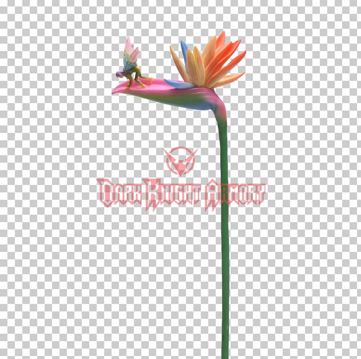 Bird-of-paradise Plant Stem Petal Fairy PNG, Clipart, Animals, Art, Bird, Birdofparadise, Bird Of Paradise Flower Free PNG Download