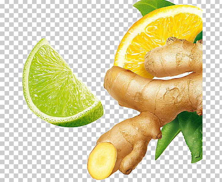 Ginger Tea Lemon PNG, Clipart, Auglis, Citric Acid, Citrus, Diet Food, Food Free PNG Download