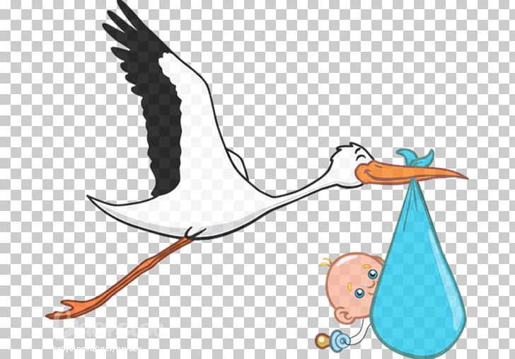 Infant Pregnancy Childbirth PNG, Clipart, Animals, Art, Beak, Bird, Boy Free PNG Download