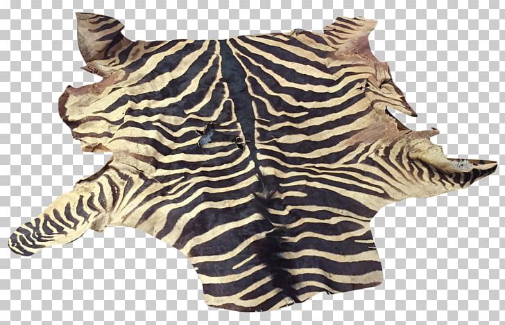 Zebra Hide Fur Carpet Flooring PNG, Clipart, Animal Print, Animals, Bed, Big Cats, Carpet Free PNG Download