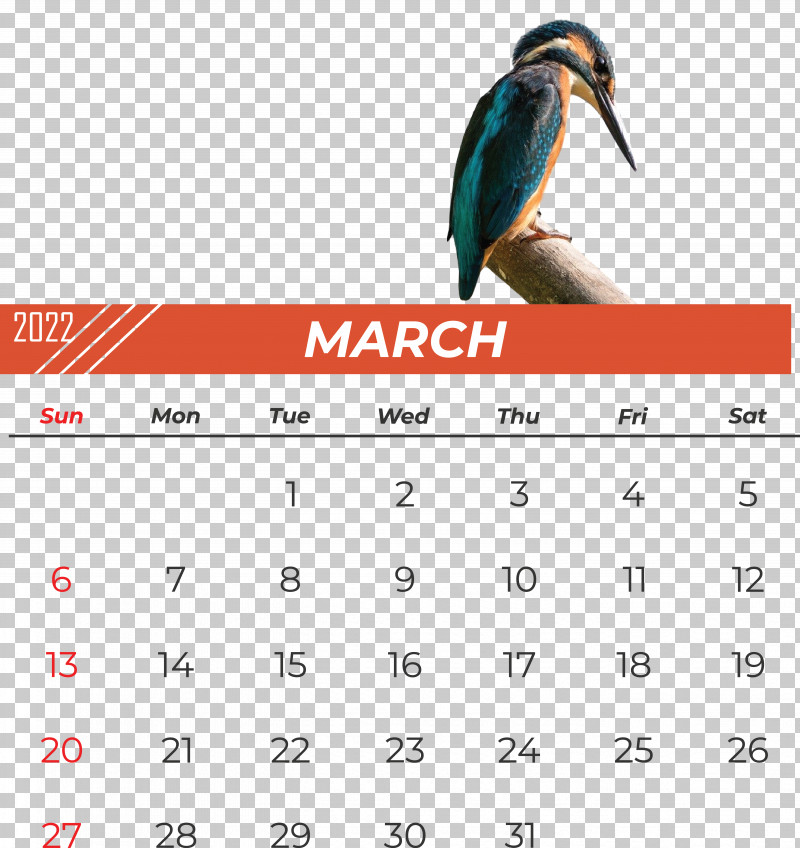 Birds Calendar Beak Font Meter PNG, Clipart, Beak, Biology, Birds, Calendar, Meter Free PNG Download