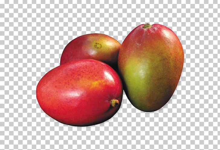 Accessory Fruit Food Biology Mango PNG, Clipart, Accessory Fruit, Apple, Biology, Food, Fruit Free PNG Download