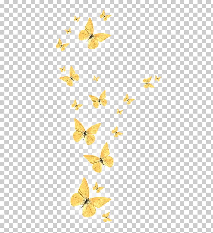 Butterfly Desktop PNG, Clipart, Branch, Color, Flower, Gratis, Insect Free PNG Download