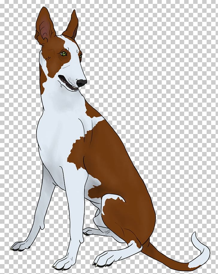 Dog Breed Basenji Ibizan Hound Macropodidae Leash PNG, Clipart, Basenji, Breed, Carnivoran, Dog, Dog Breed Free PNG Download