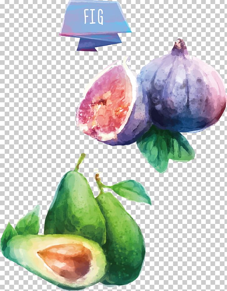 Juice Fruit Avocado Watercolor Painting PNG, Clipart, Color, Common , Explosion Effect Material, Food, Fruit Nut Free PNG Download