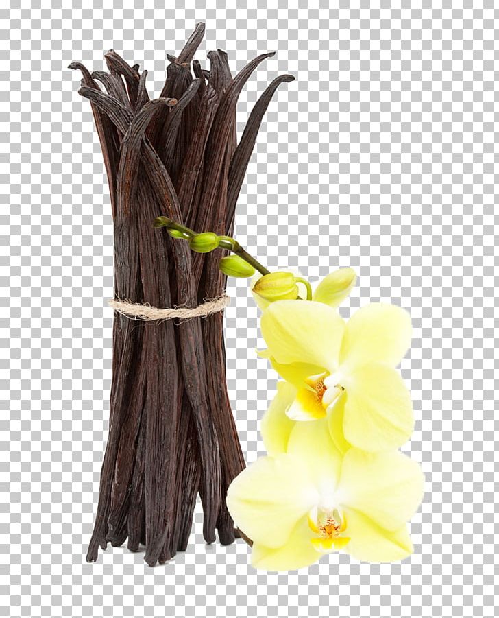 Vanilla Extract Essential Oil Stock Photography Perfume PNG, Clipart, Bundle, Clove, Extract, Flavor, Flower Free PNG Download