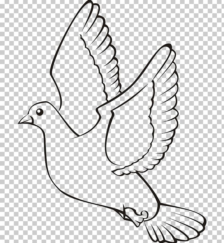 Bird Flight Chicken PNG, Clipart, Angle, Animals, Arm, Art, Beak Free PNG Download