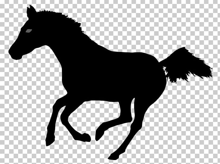Horse Silhouette Photography Illustration PNG, Clipart, Animals, Art, Athlete Running, Athletics Running, Black Free PNG Download