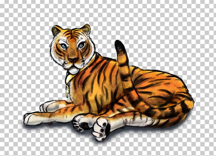 Tiger Whiskers Lion Cat Spokane County Regional Animal Protection Service PNG, Clipart, Animal, Animals, Big Cats, Carnivoran, Cat Free PNG Download