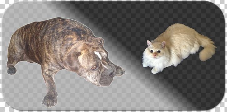 Whiskers Dog Breed Cat Non-sporting Group PNG, Clipart,  Free PNG Download