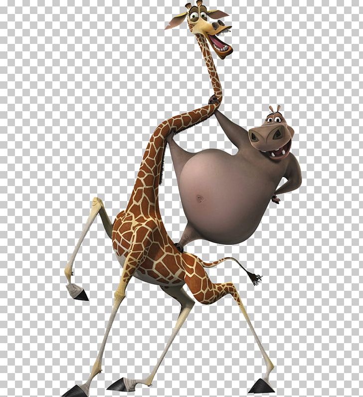Gloria Melman Alex Madagascar Film PNG, Clipart, Alex, Animated Film, Character, Film, Giraffe Free PNG Download